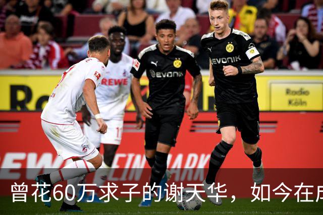 曾花60万求子的谢天华，如今在成都陪11岁儿子喂熊猫，状态太真实