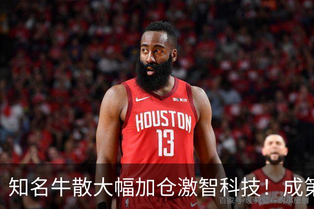 知名牛散大幅加仓激智科技！成第三大股东