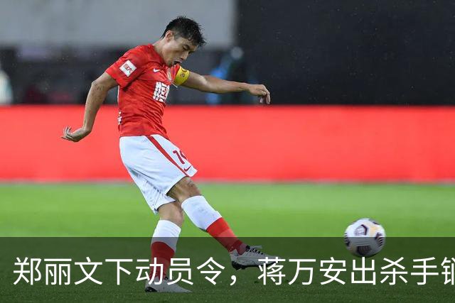 郑丽文下动员令，蒋万安出杀手锏，卢秀燕设防线，朱立伦挺赵少康